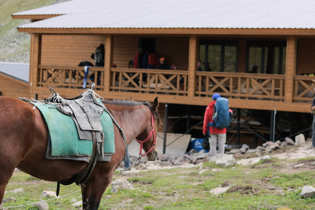 Horse and trekker with backpack at Georgian mountain hut by Mount Kazbeg.